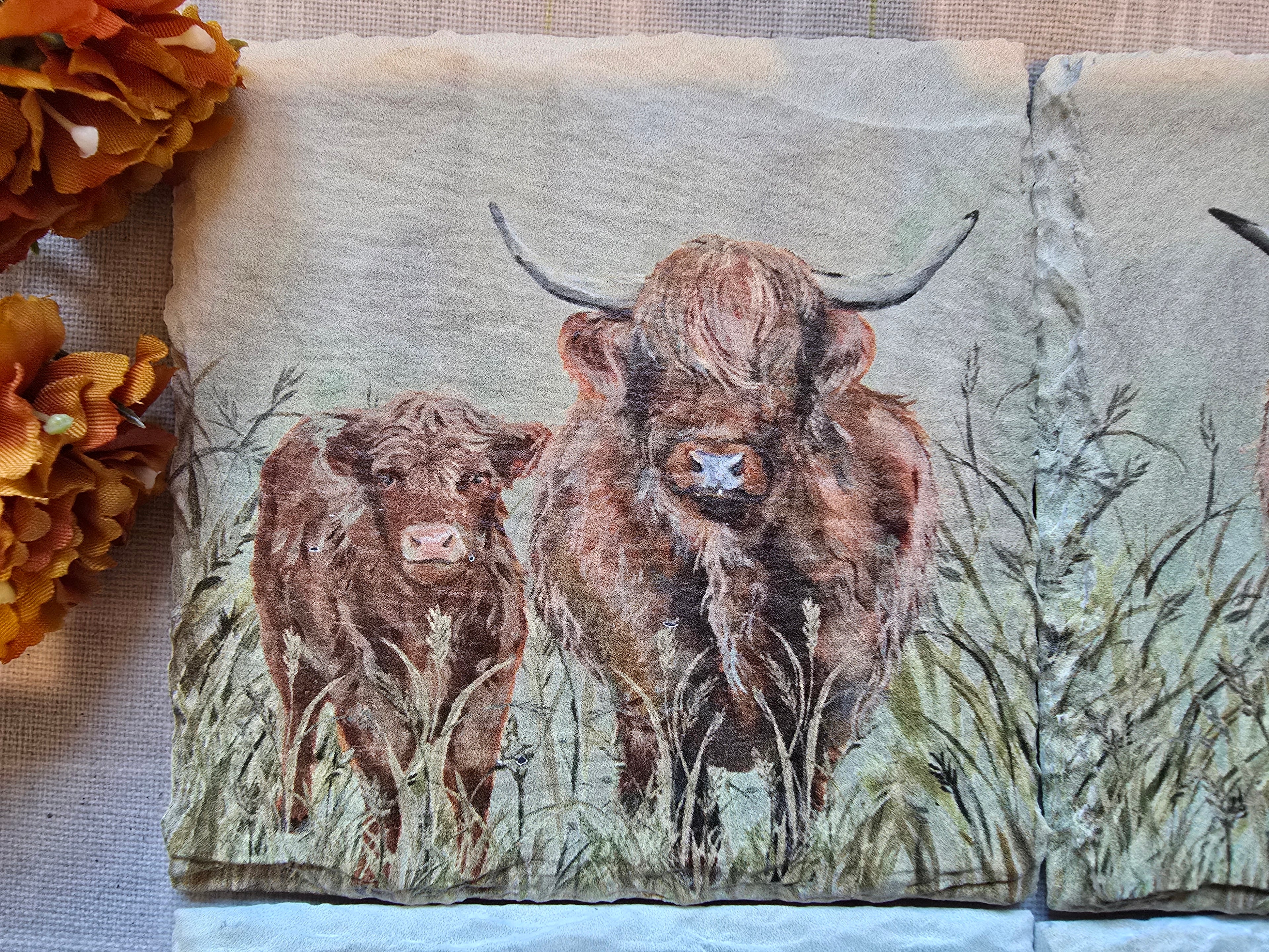 Highland Cow Slate Coasters - Set of 4