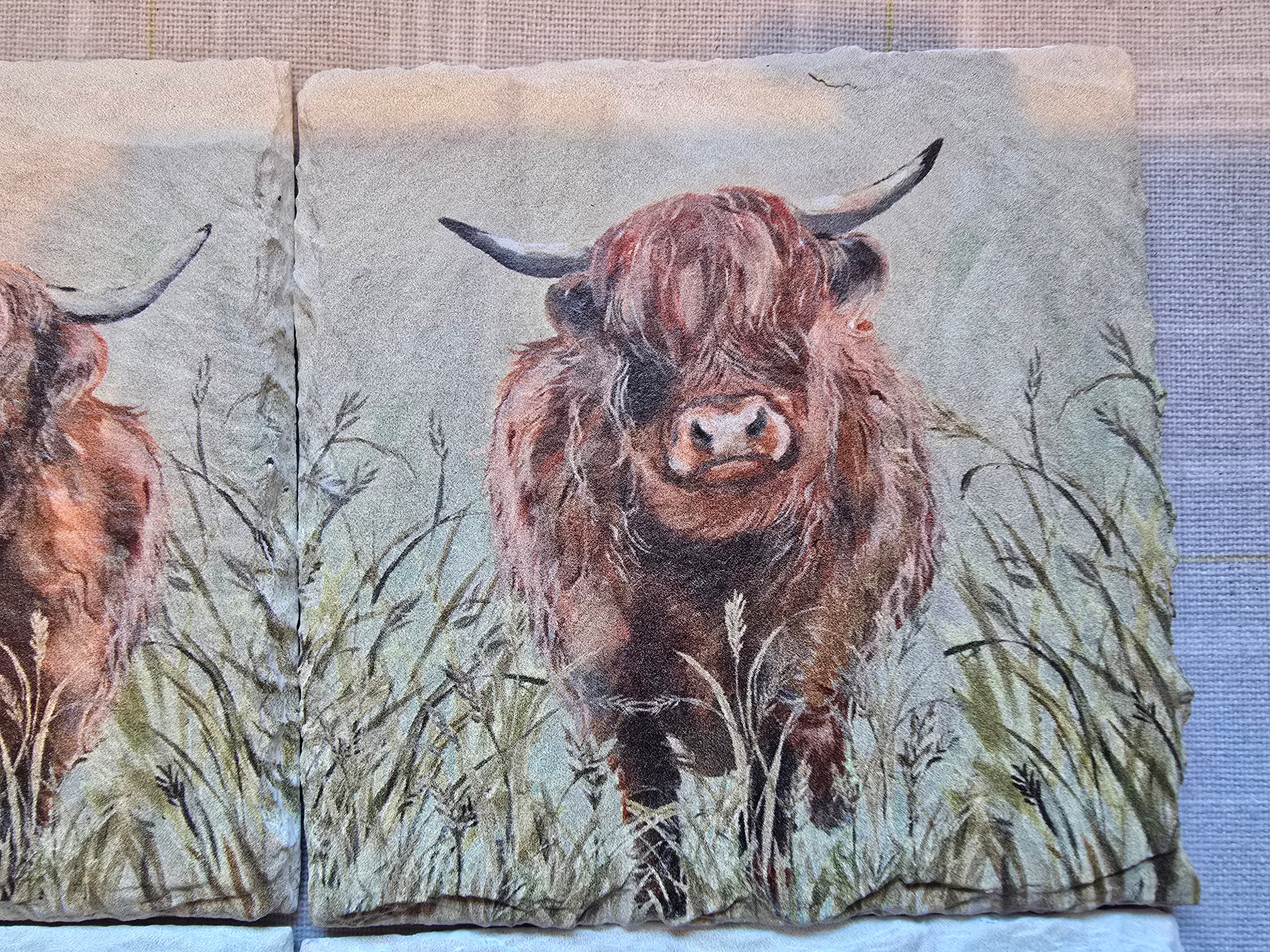Highland Cow Slate Coasters - Set of 4