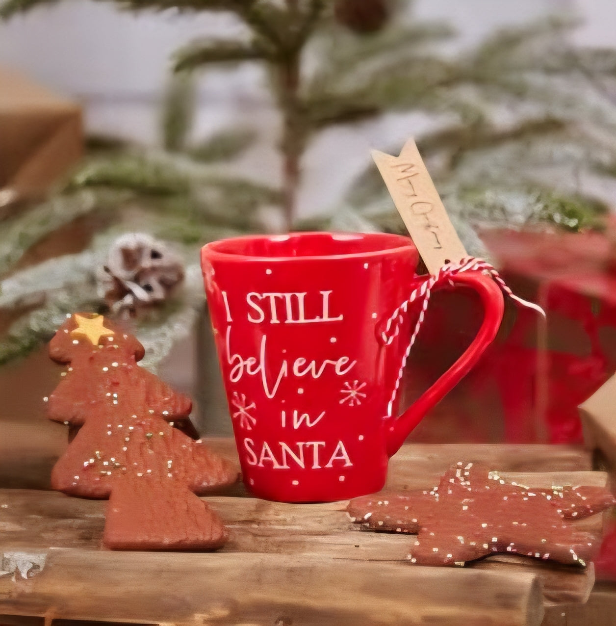 I Still Believe In Santa Christmas Mug