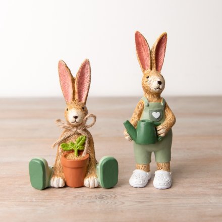 Gardening Bunnies With Watering Can & Plant