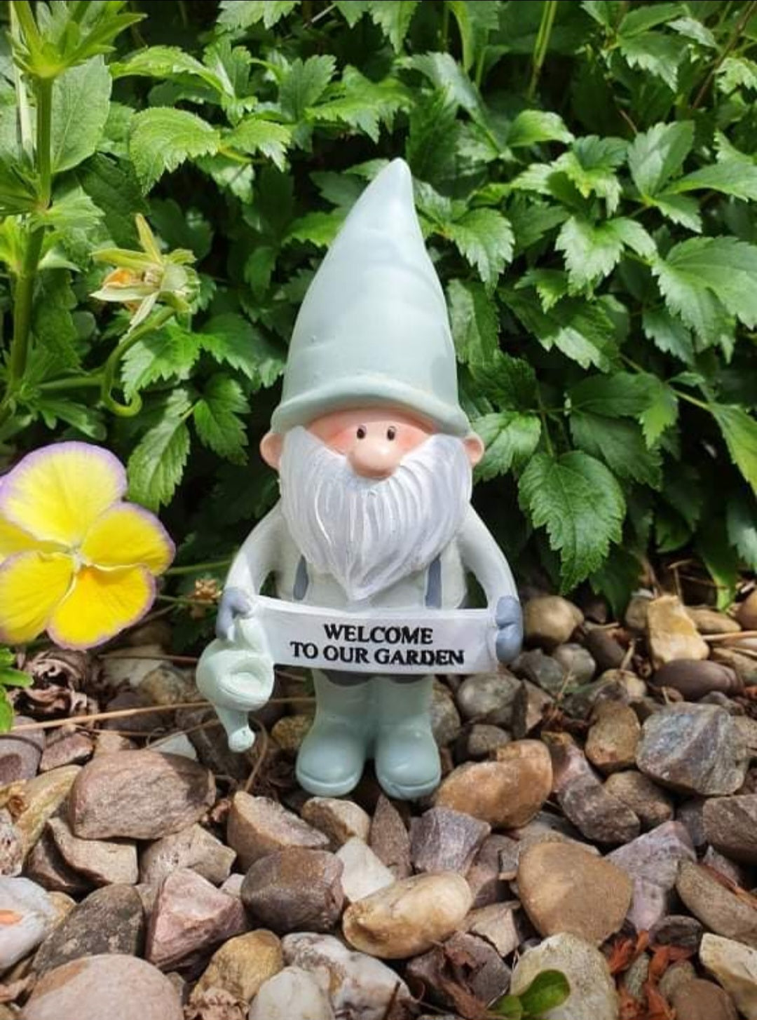 Garden Gnomes - Sage Green