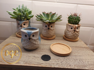 Owl Plant Pots