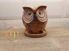 Load image into Gallery viewer, Large Owl Plant Pots - 9cm
