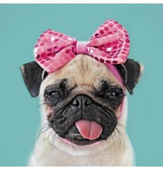 Pink Bow Pug Greetings Card
