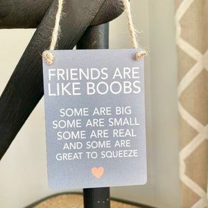 Friends Are Like Boobs - Mini Metal Sign