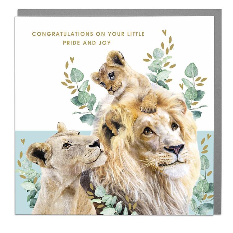 New Baby Boy Card