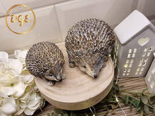 Load image into Gallery viewer, Hedgehogs - Milo &amp; Max
