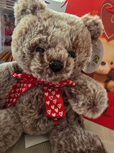 Valentines Bear Plush Soft Toy Teddy