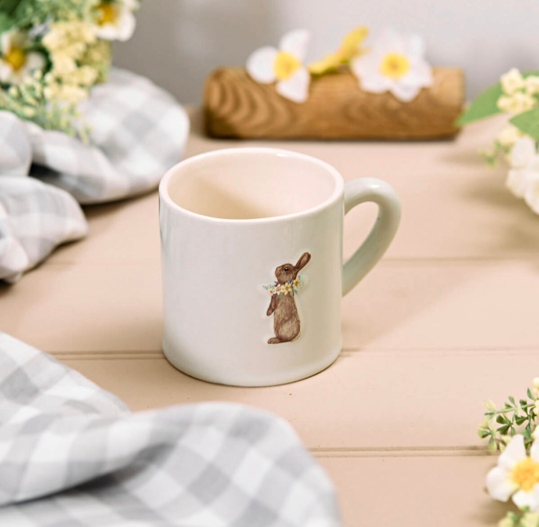 Spring Easter Stoneware Embossed Rabbit Milk Jug, Mug & Large Jug