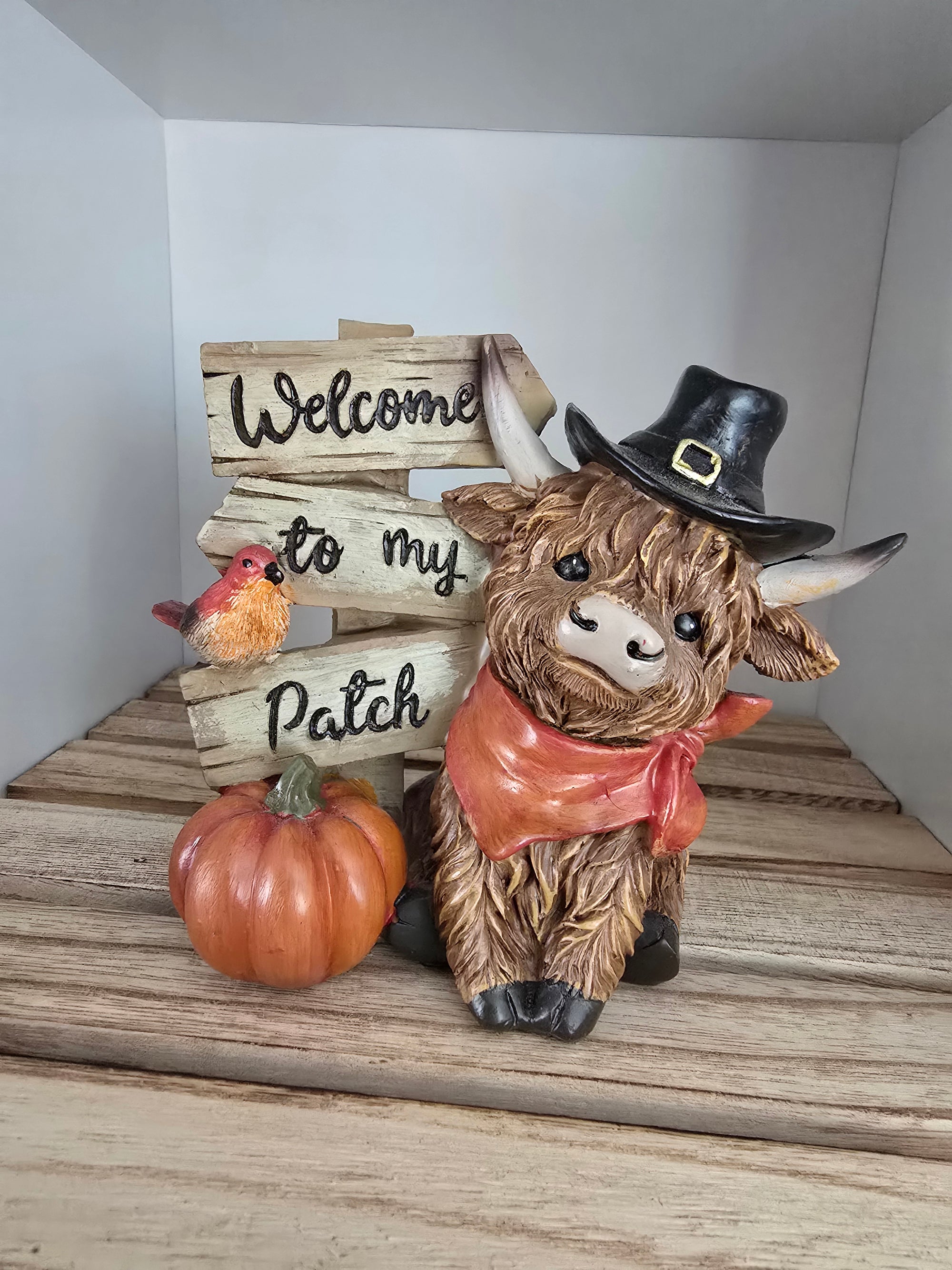 Autumn Highland Cows 🍂 8 To Choose From