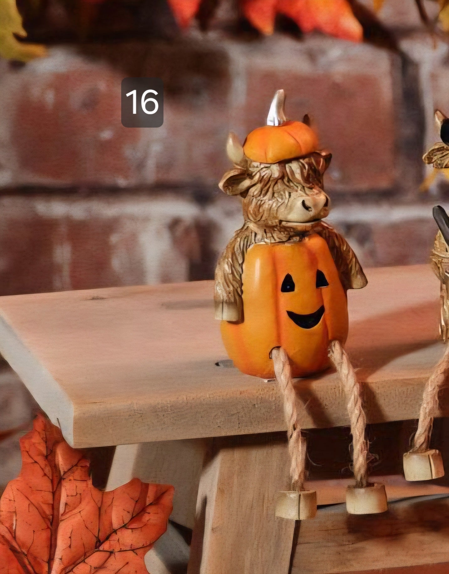 Halloween Highland Cows 🎃 19 To Choose From