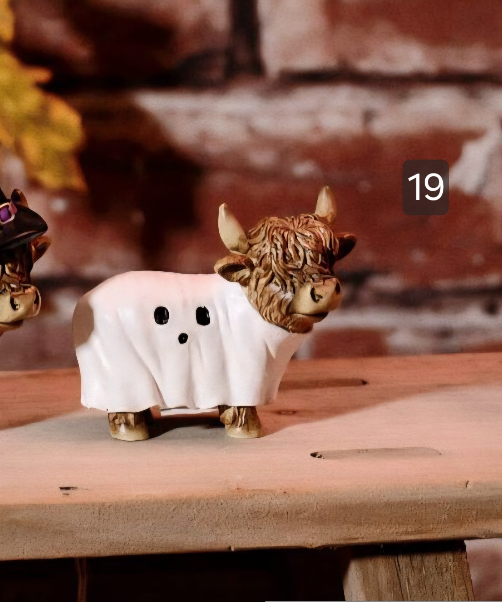 Halloween Highland Cows 🎃 19 To Choose From