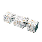 Christmas Crackers - Lip Balm, Bath Melt & Shower Pod