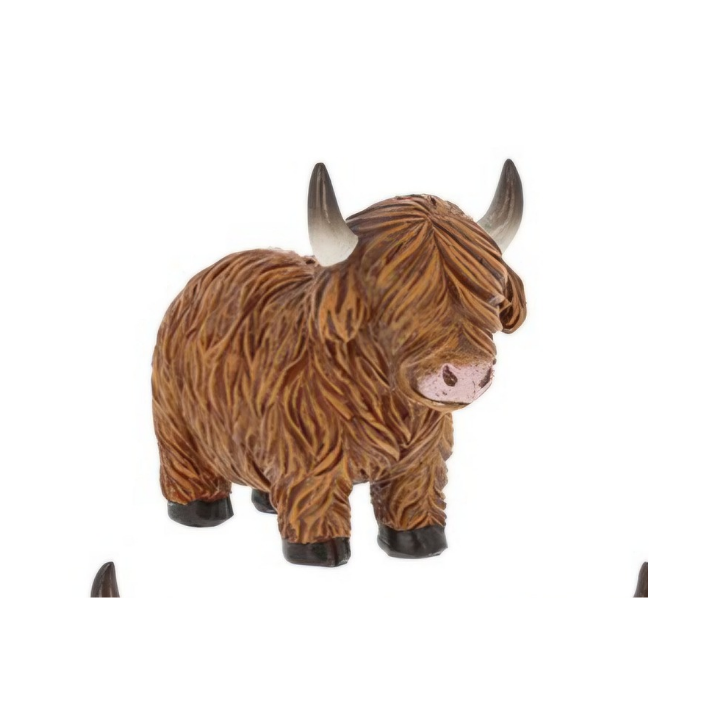 Highland Coooos Cows