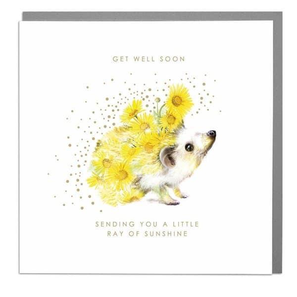 Get Well Soon Floral Hedgehog Card .