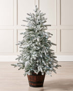 Pre-Lit Snow Flocked Potted Christmas Tree, 4 ft