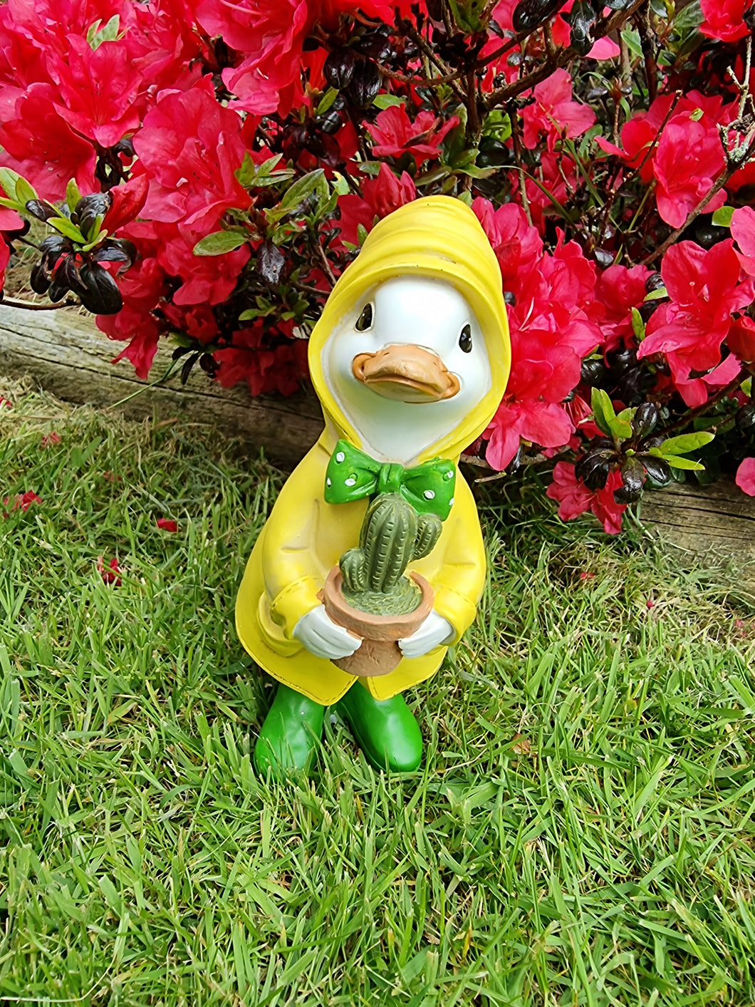 Geoff The Garden Duck With Plant / Cacti