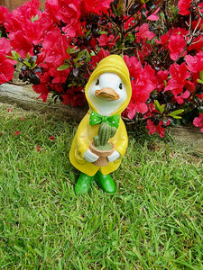 Geoff The Garden Duck With Plant / Cacti