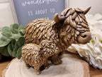 Standing Hugo The Highland Cow With Calf