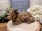 Hugo The Highland Cow With Calf