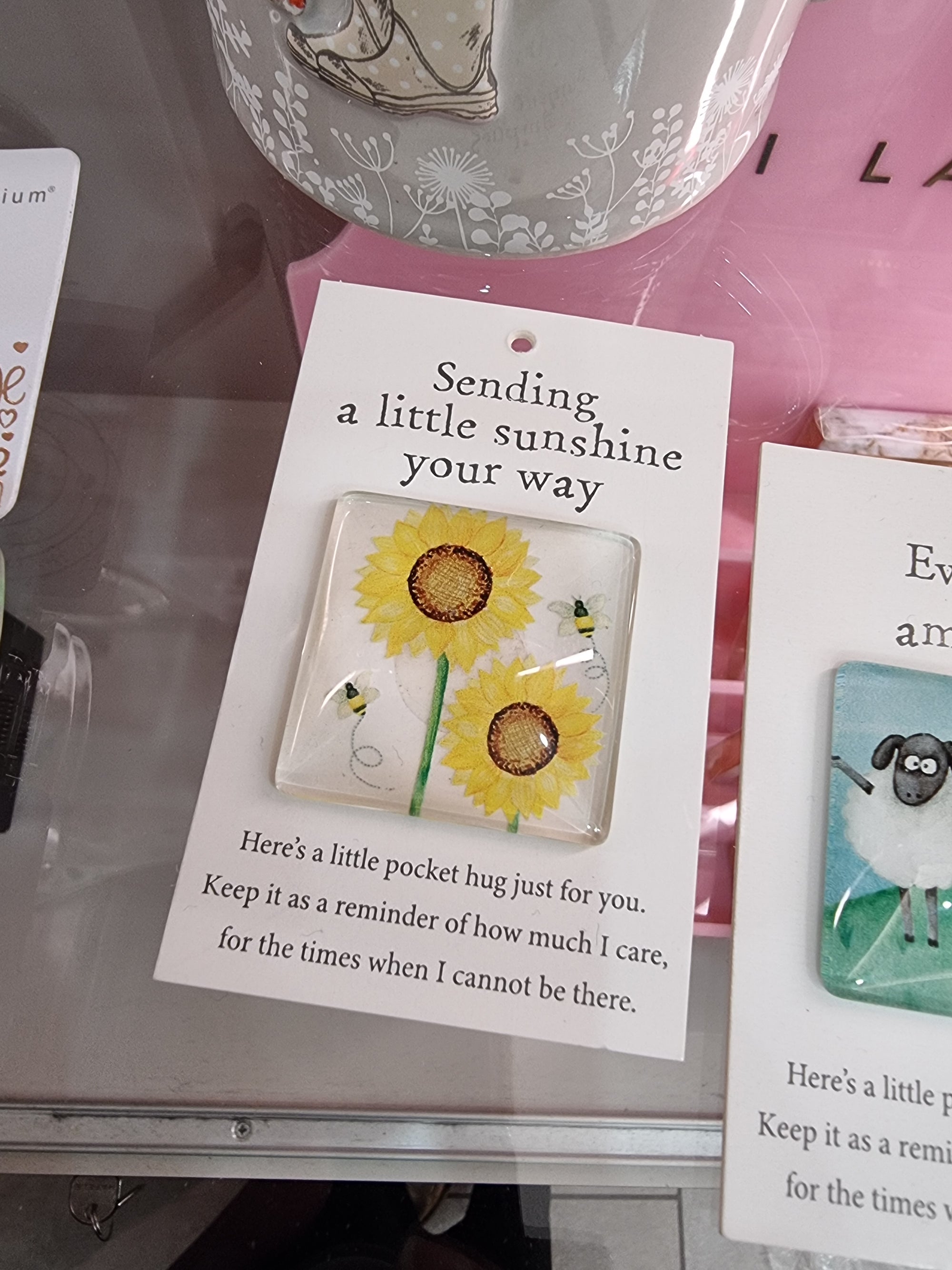 Glass Pocket Hugs