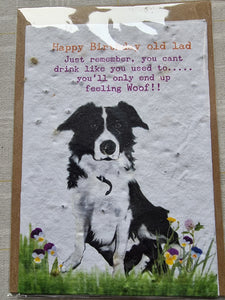 Happy Birthday Old Lad - Collie - Plantable Seed Card