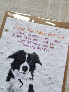 Happy Birthday Old Lad - Collie - Plantable Seed Card