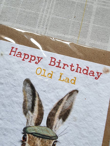 Happy Birthday Old Lad - Hare - Plantable Seed Card