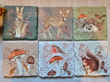 Load image into Gallery viewer, Woodland Animals Slate Coasters
