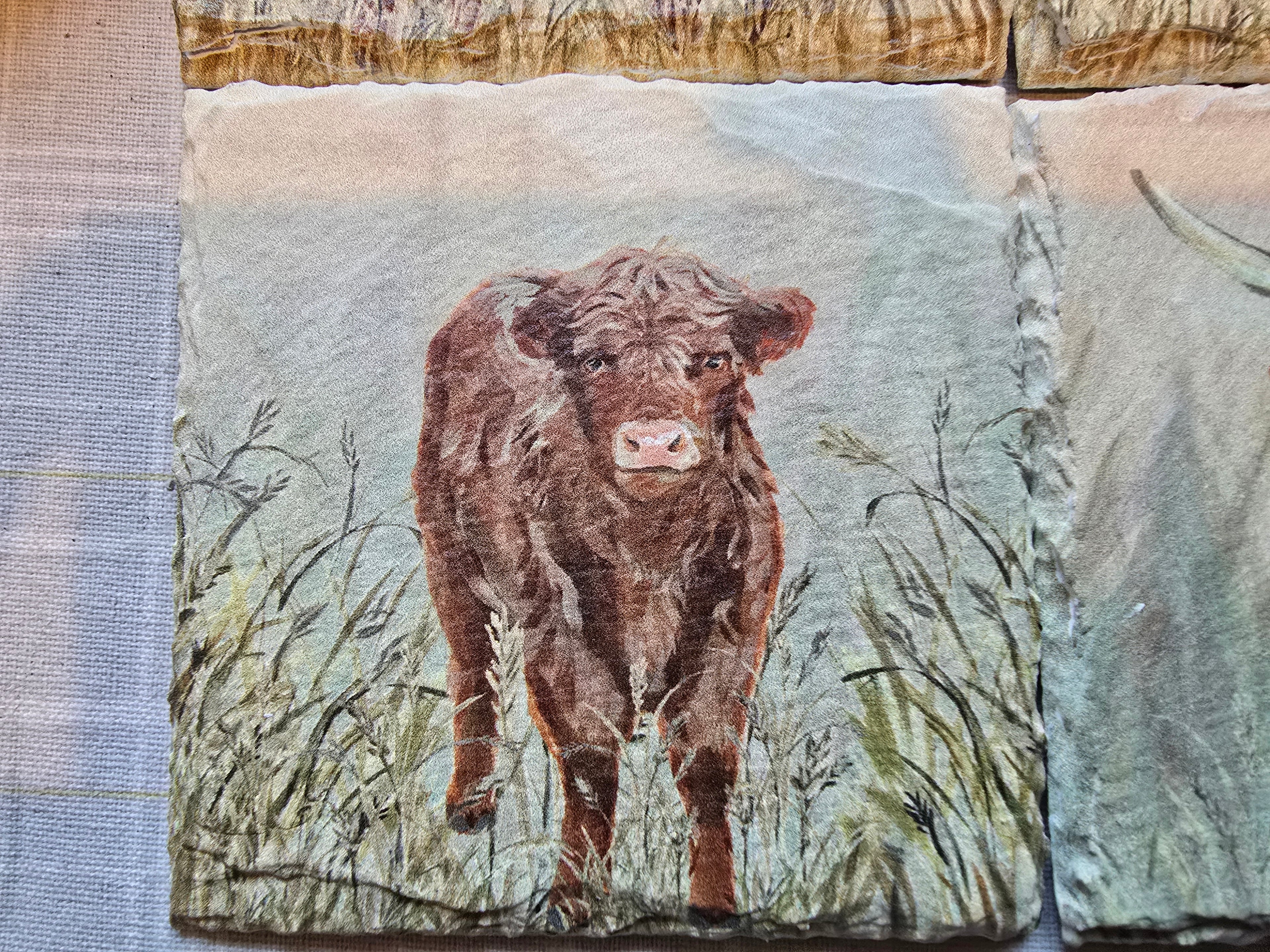 Highland Cow Slate Coasters - Set of 4