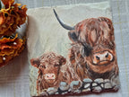 Highland Cow Slate Coaster