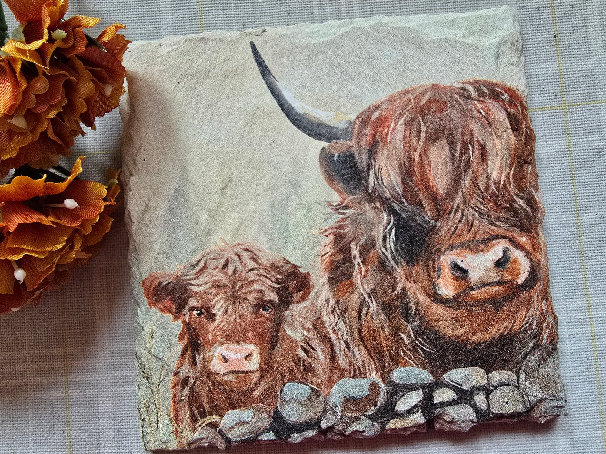 Highland Cow Slate Coaster