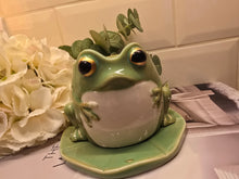 Load image into Gallery viewer, 2nd Frog On Lily Pad Oil Burner
