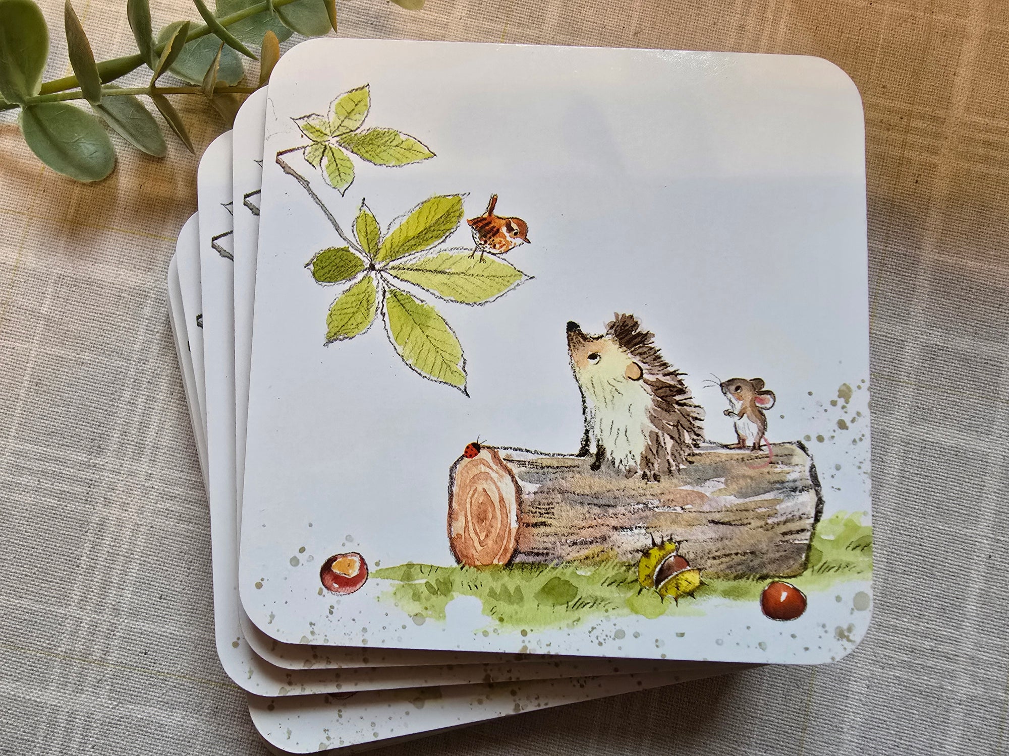 Paper Shed Bucklebury Wood Coaster 6 Designs - Set of 6