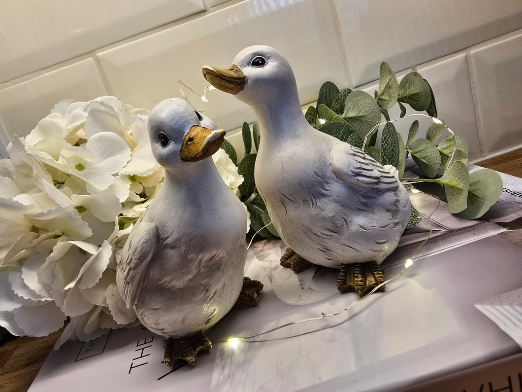 Ducklings - Set of 2