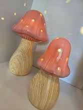 Load image into Gallery viewer, LED Mushroom Lamps ~ Pink &amp; Sage
