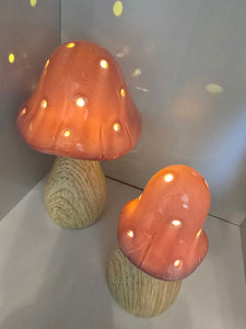 LED Mushroom Lamps ~ Pink & Sage
