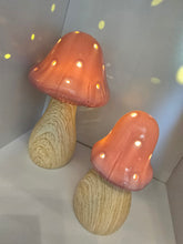Load image into Gallery viewer, LED Mushroom Lamps ~ Pink &amp; Sage
