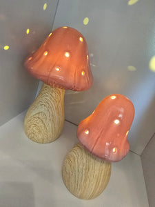 LED Mushroom Lamps ~ Pink & Sage