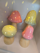 Load image into Gallery viewer, LED Mushroom Lamps ~ Pink &amp; Sage
