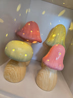 LED Mushroom Lamps ~ Pink & Sage