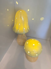 Load image into Gallery viewer, LED Mushroom Lamps ~ Pink &amp; Sage
