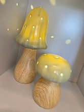 Load image into Gallery viewer, LED Mushroom Lamps ~ Pink &amp; Sage

