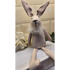 Fluffy Bunny Rabbit