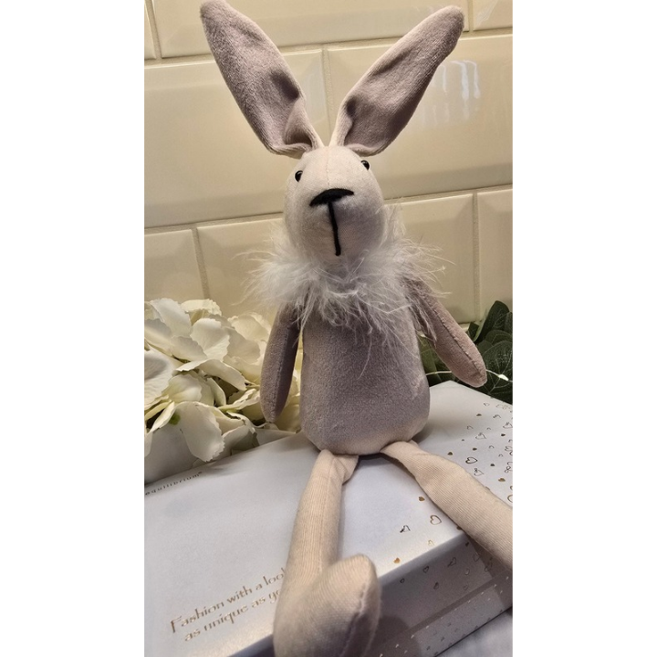 Fluffy Bunny Rabbit