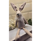 Fluffy Bunny Rabbit