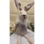 Fluffy Bunny Rabbit