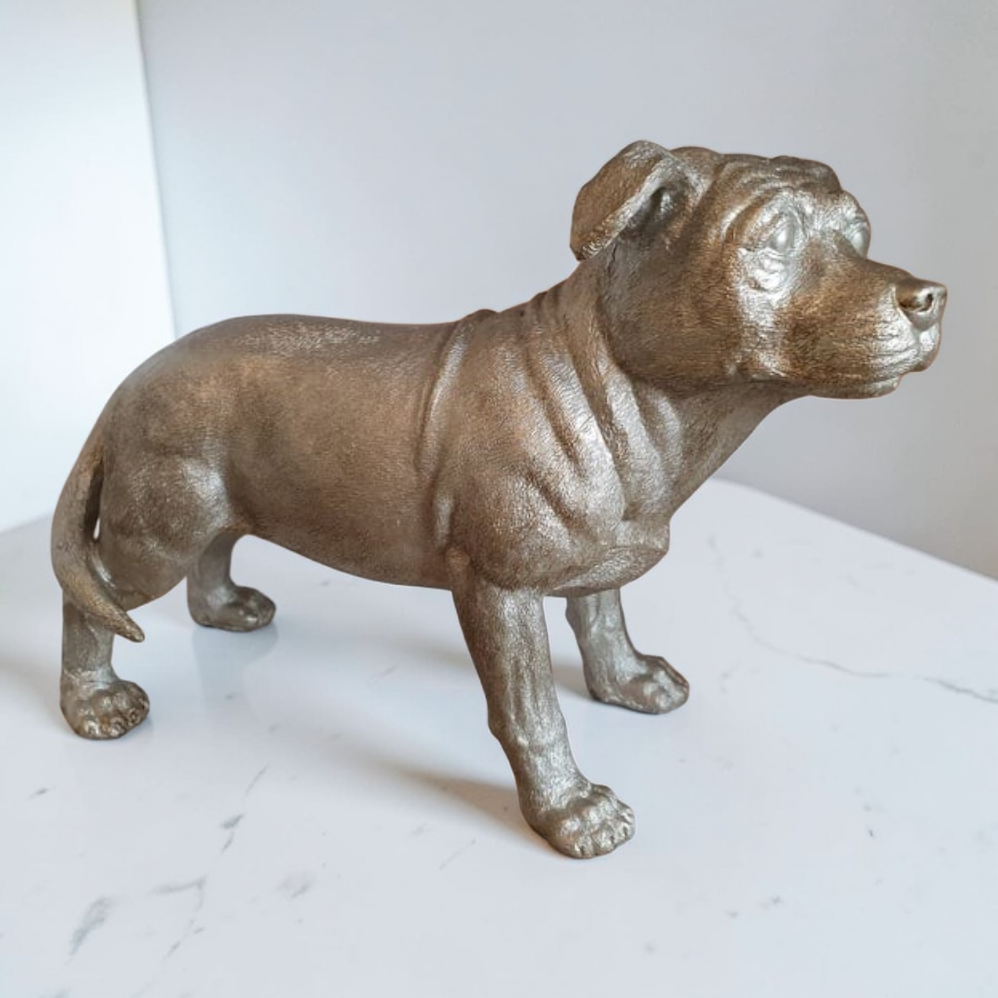 Silver Staffordshire Bull Terrier Staffy Dog