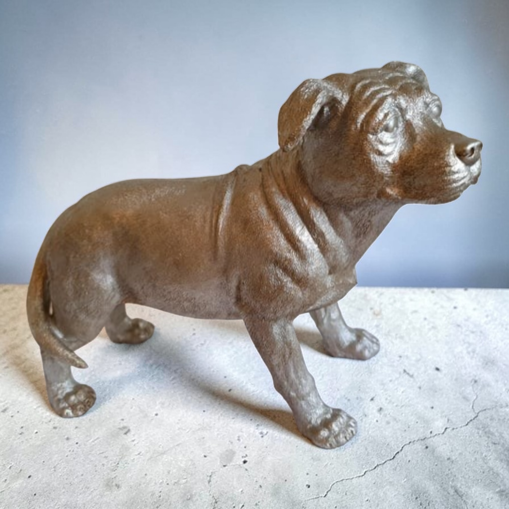 Silver Staffordshire Bull Terrier Staffy Dog