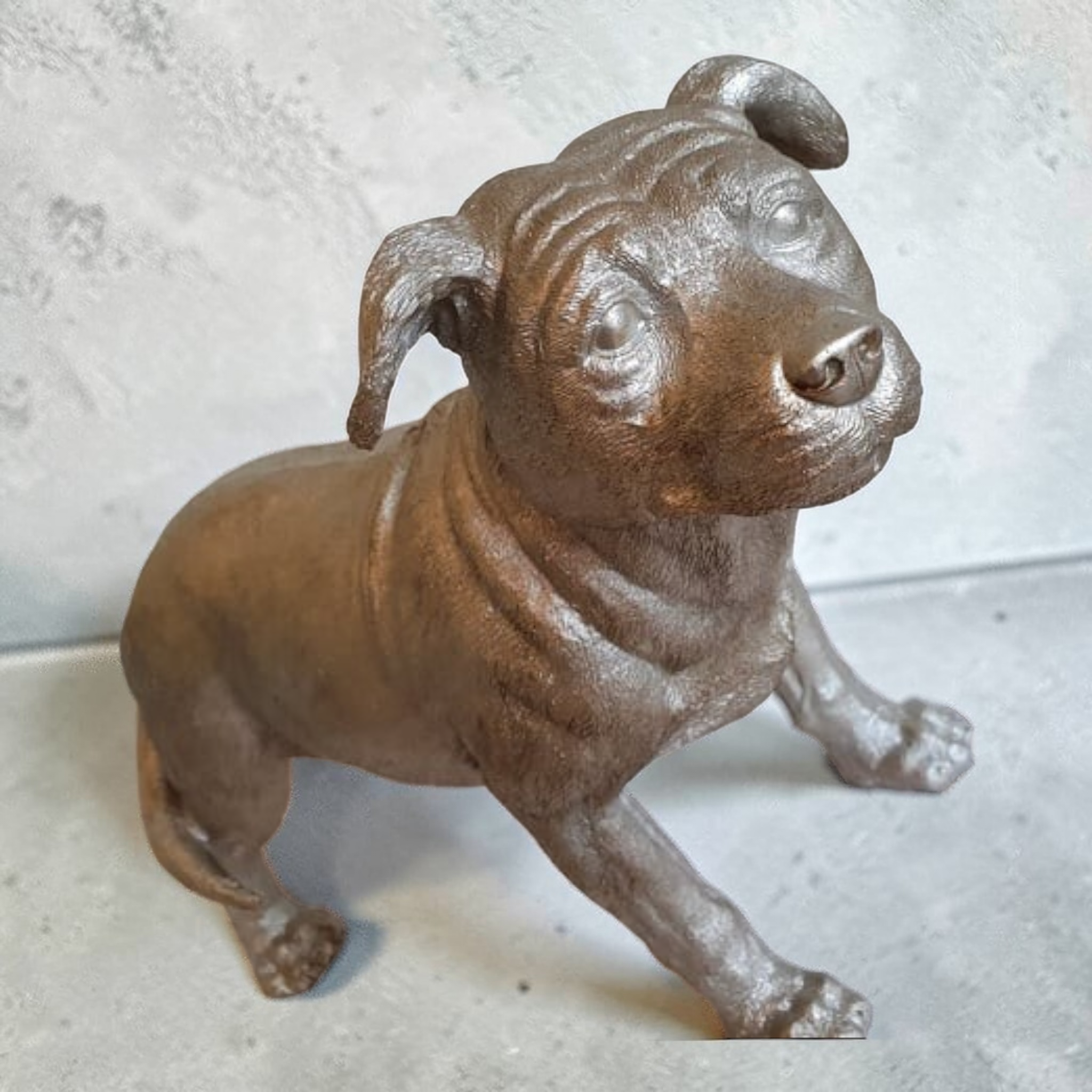 Silver Staffordshire Bull Terrier Staffy Dog